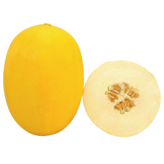 Kohinoor Muskmelon From  Known You Seed (India)-1